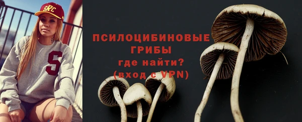 прущие крисы Алзамай