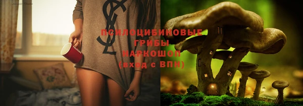 Альфа ПВП Алексин
