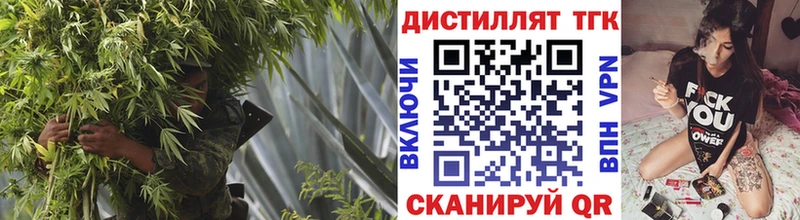 ТГК Wax  Чаплыгин 