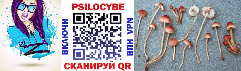 Галлюциногенные грибы Magic Shrooms Чаплыгин