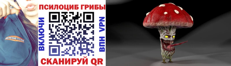 Псилоцибиновые грибы Cubensis  Чаплыгин 